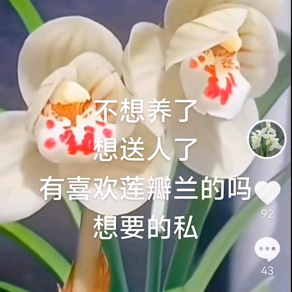 一不小心变老了