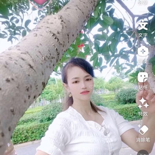 莲莲