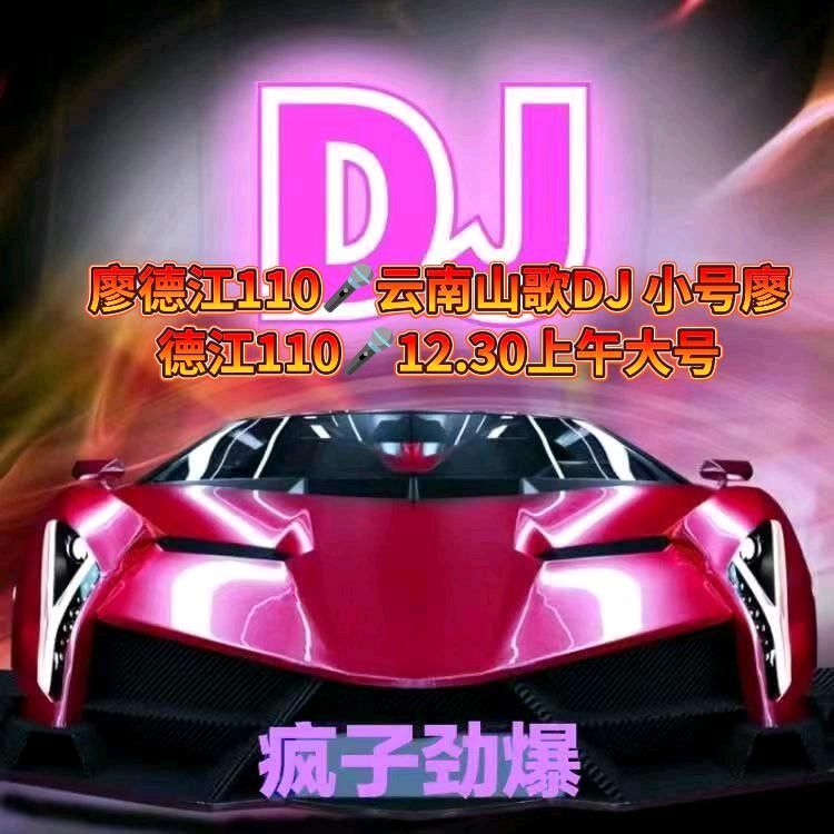 廖德江110🎤云南山歌DJ 小号