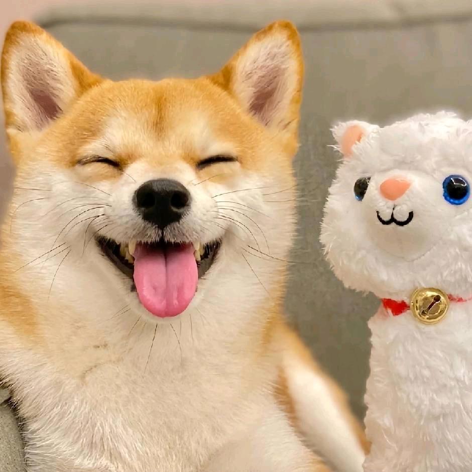 扬尘
