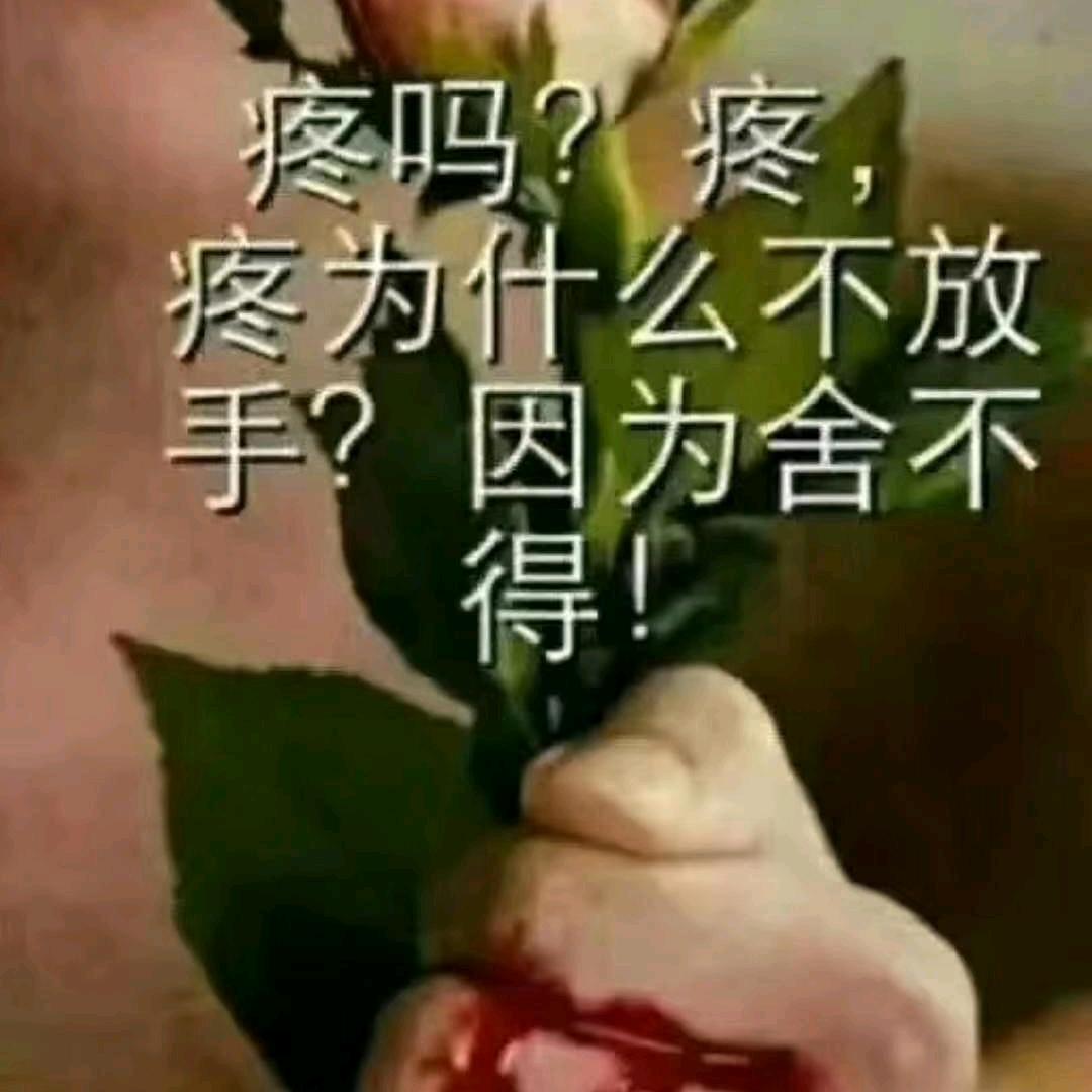 心碎了无痕💔