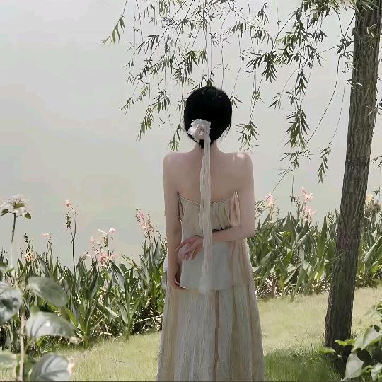 洛神花