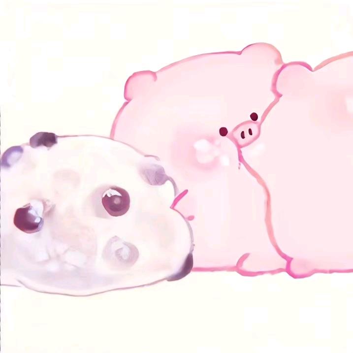 信鸟游