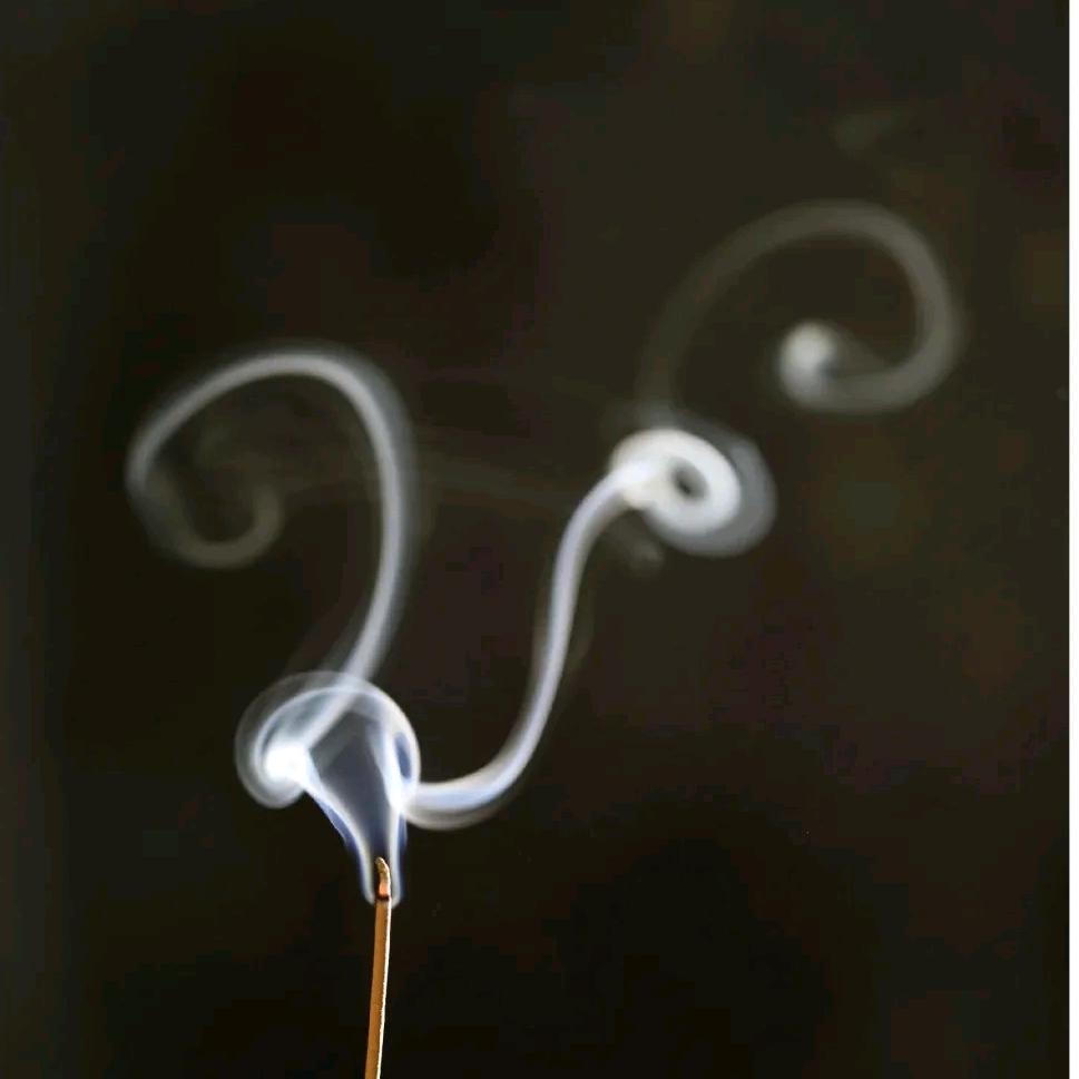 恒知大师姐