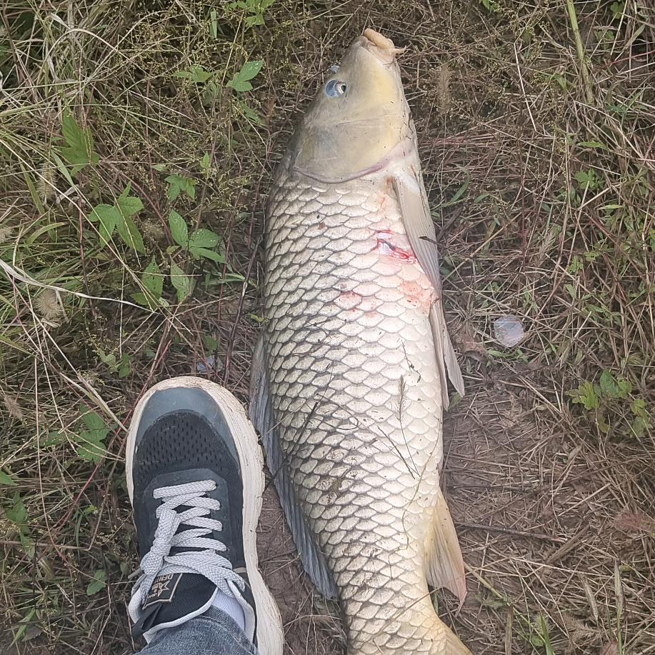 没你的地方最冷