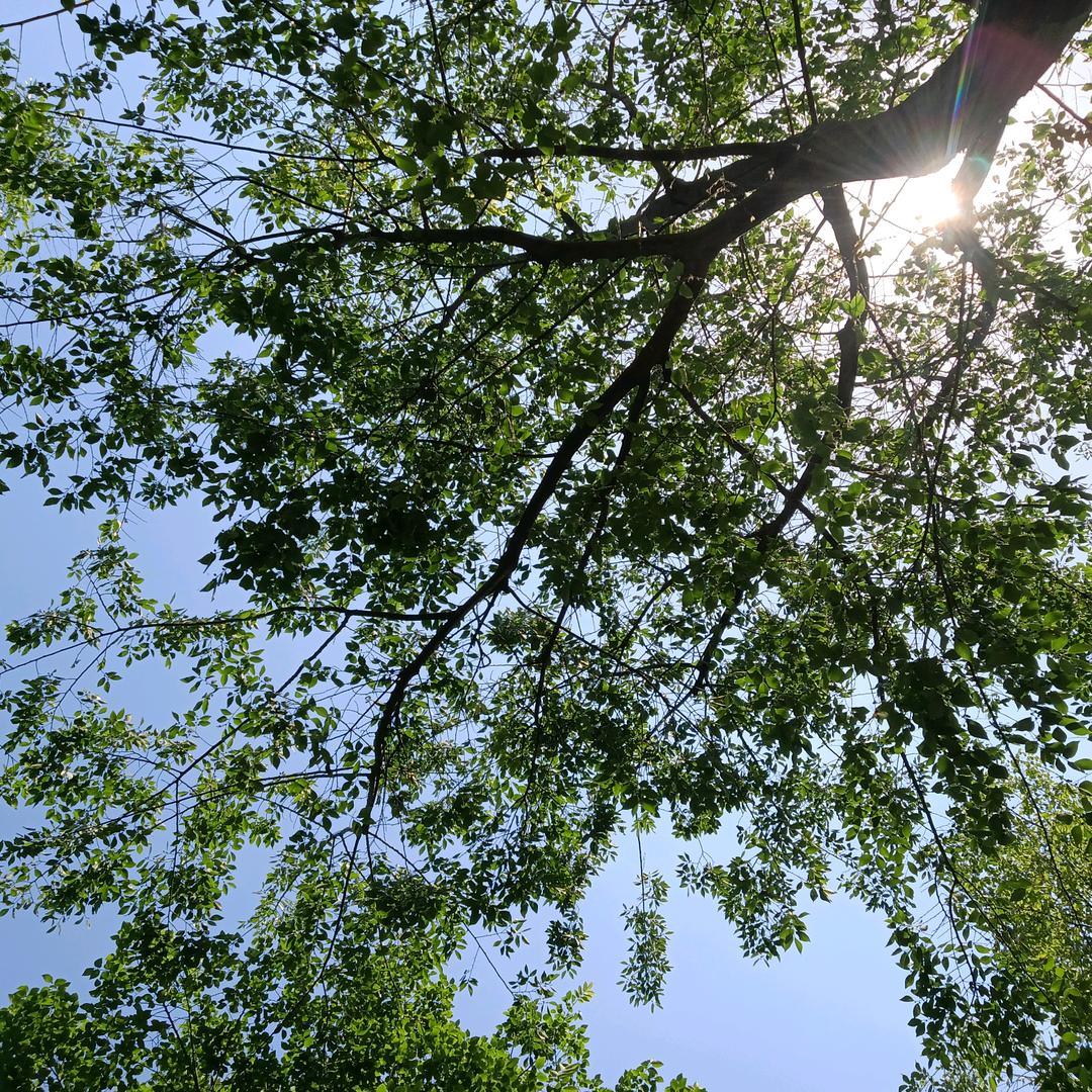 (●• ̀ω•́ )✧取快递