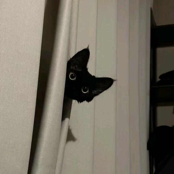 K，