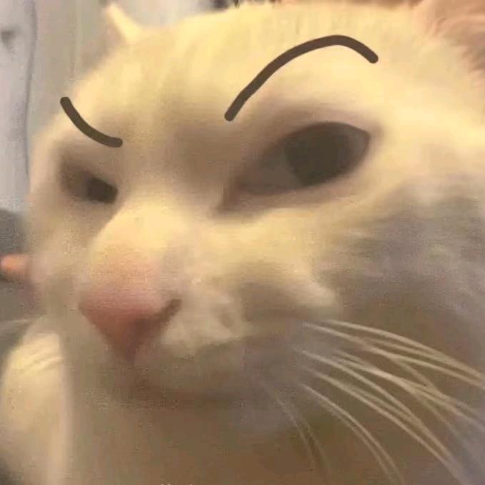 陈天睡懒觉