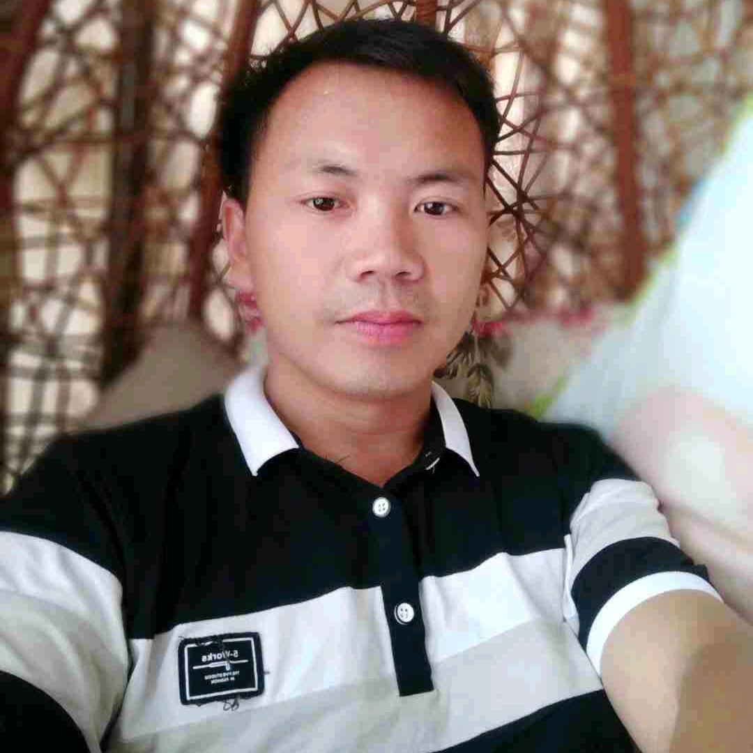 杨金