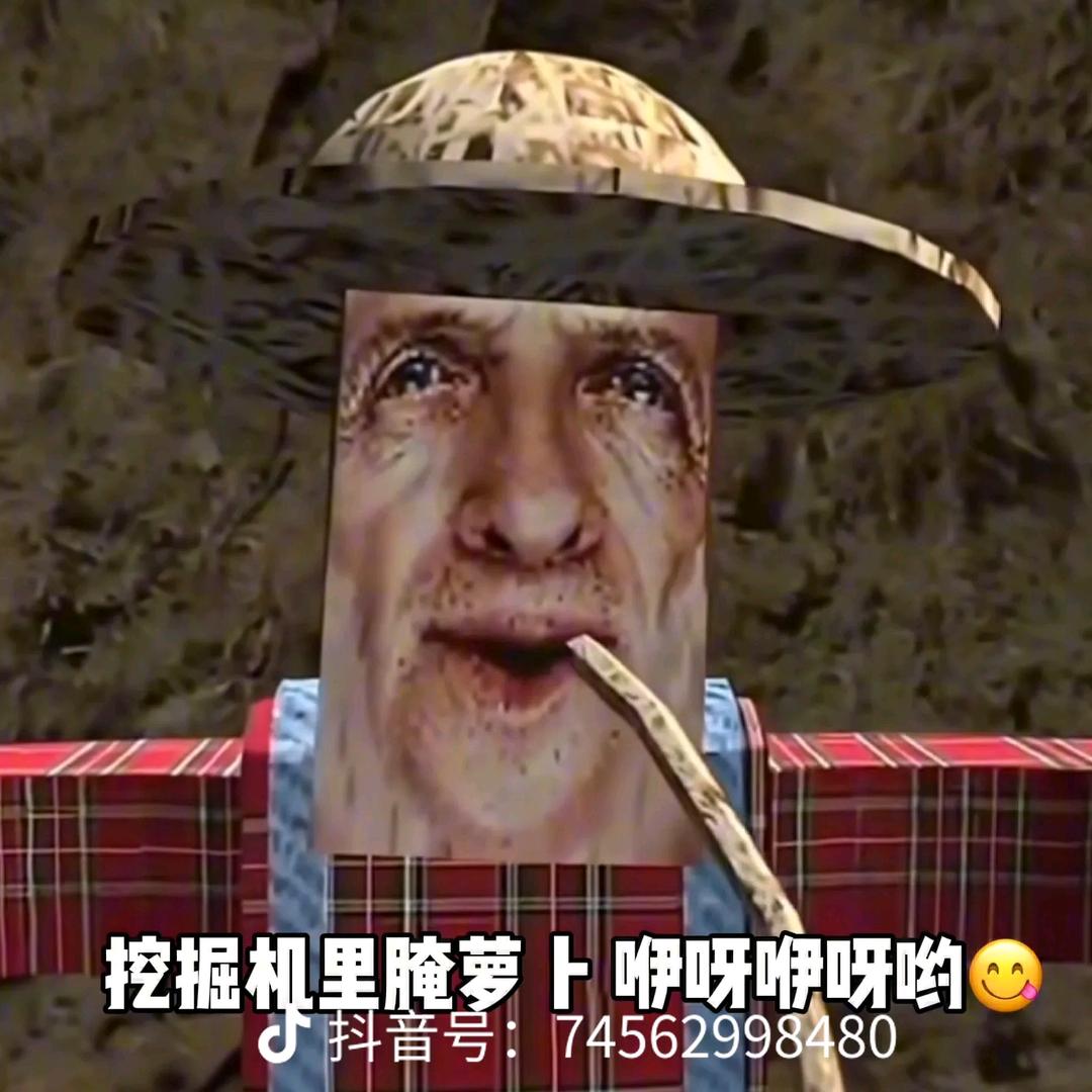 挖掘机里腌萝卜，咿呀咿呀哟！