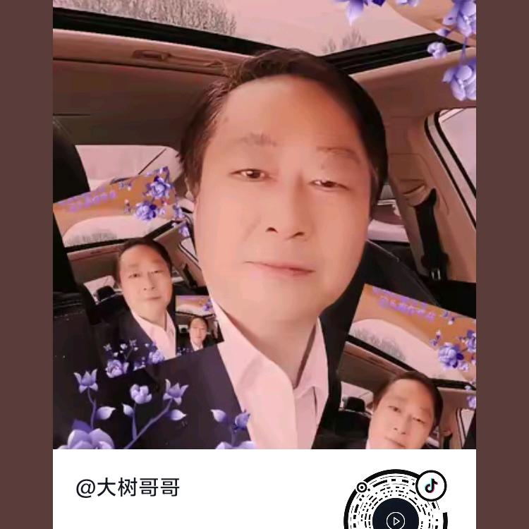 大树哥哥