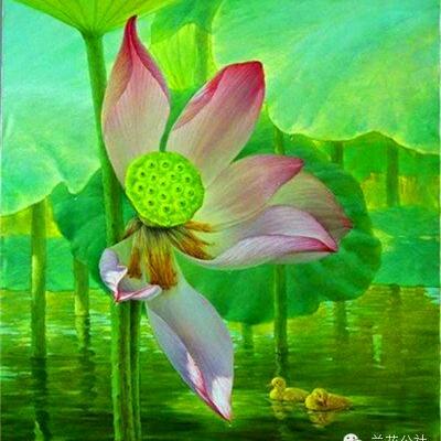 阳朔兴坪水果代办