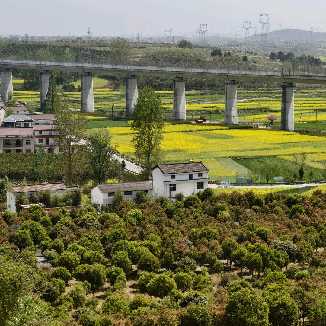 静心越来越好