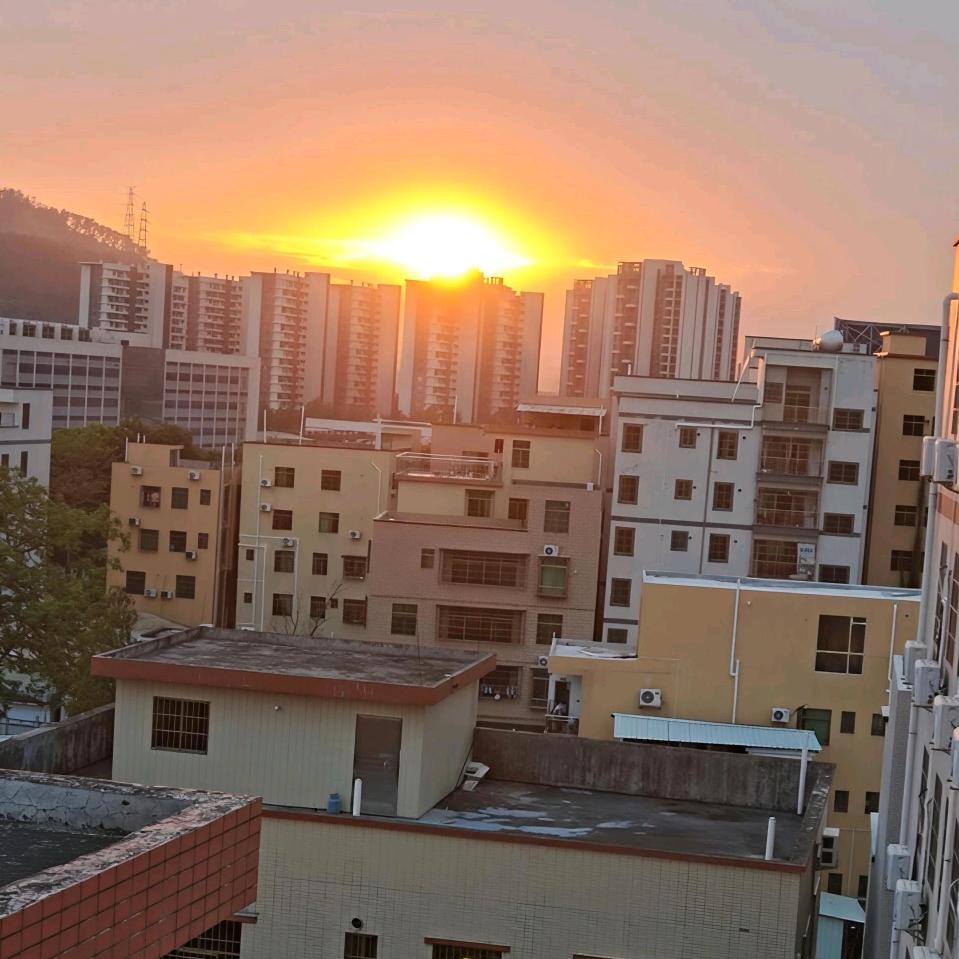 苏暮雨头像