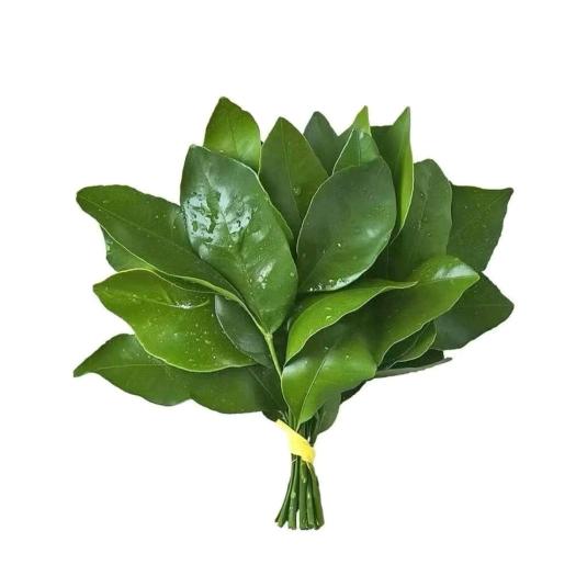 香菜（搓指甲版）