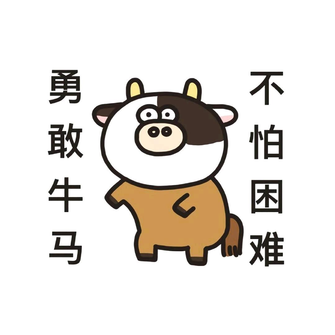 大飞的牛马生活