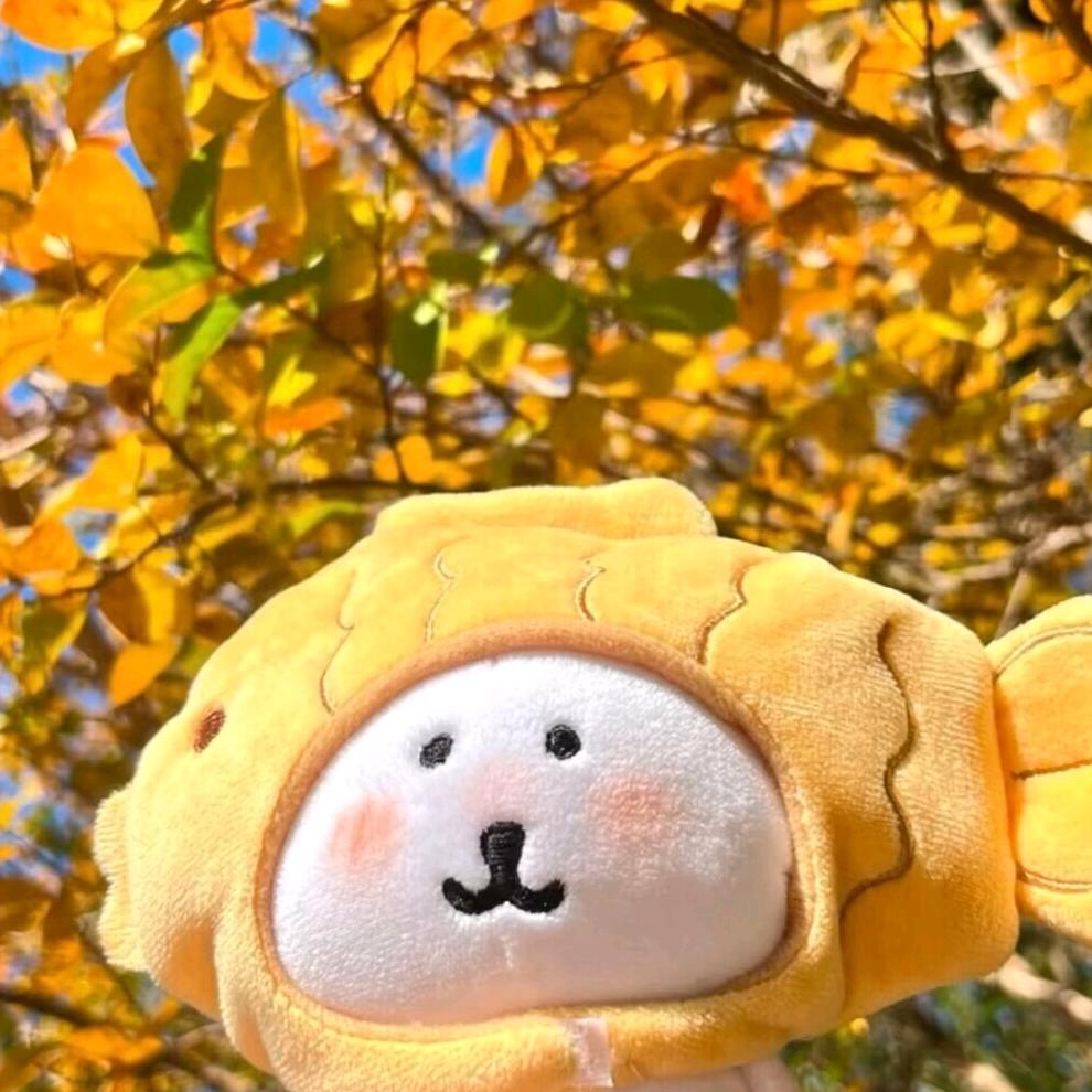 小台学姐