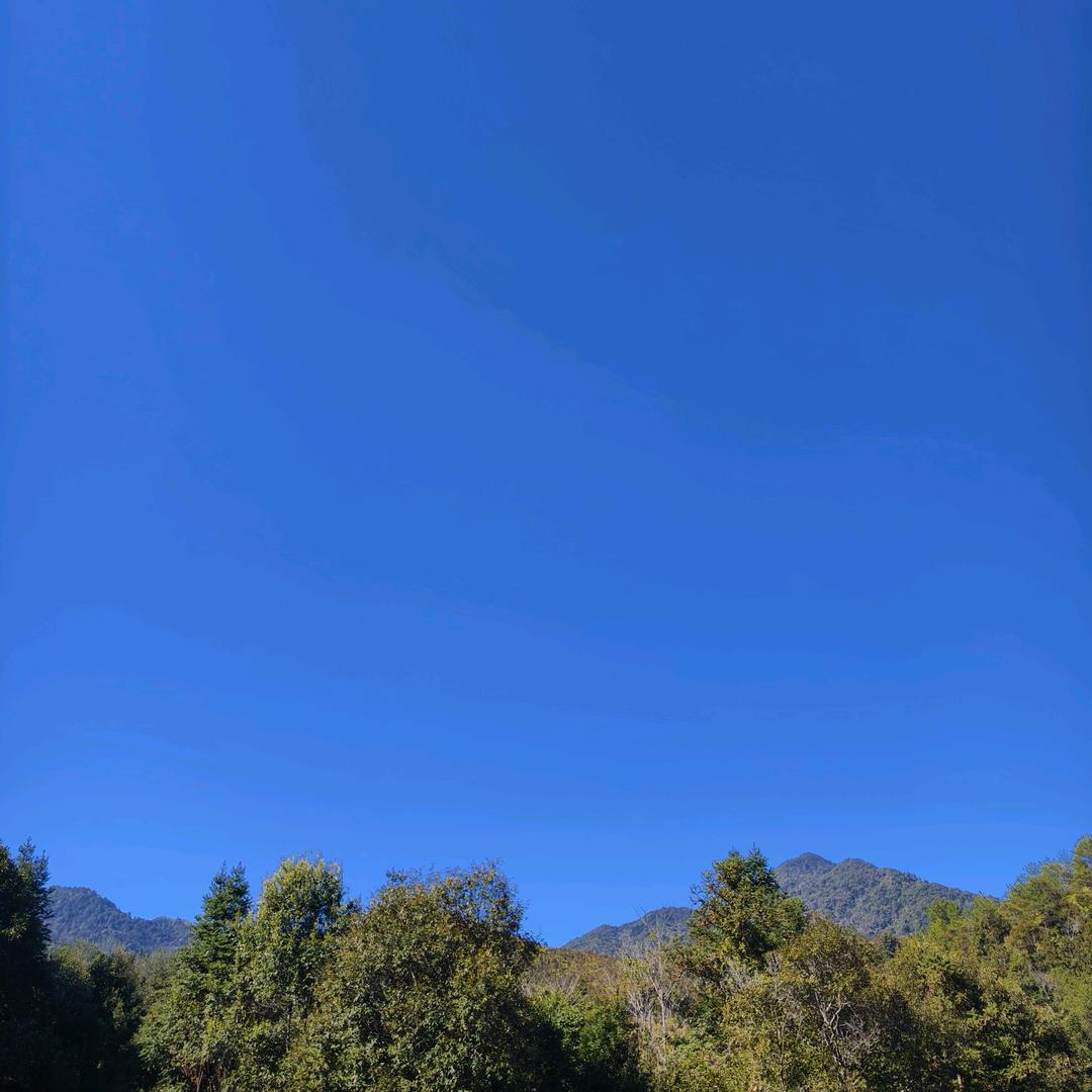钟世春