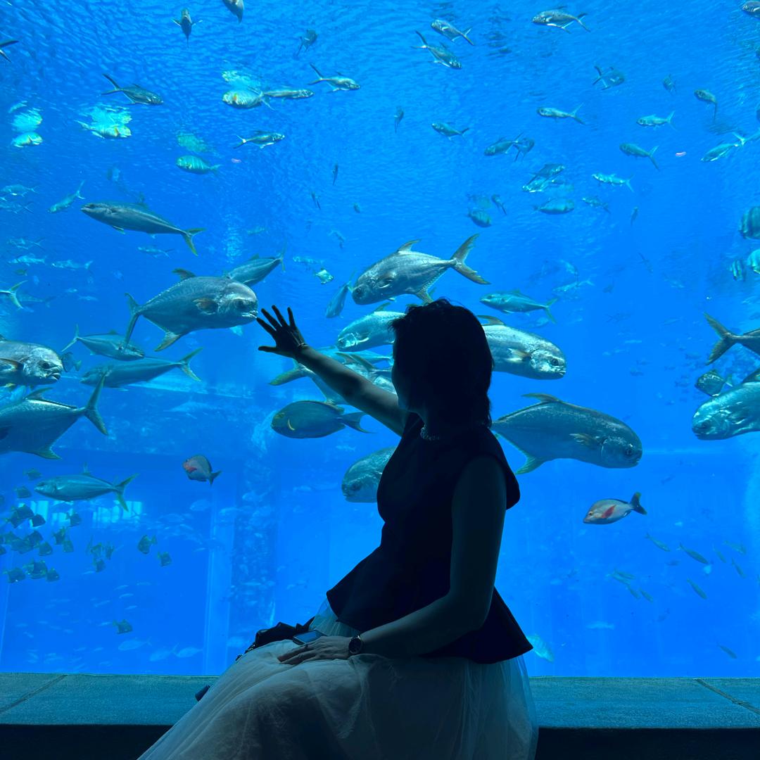 🌾静婉清风🌾