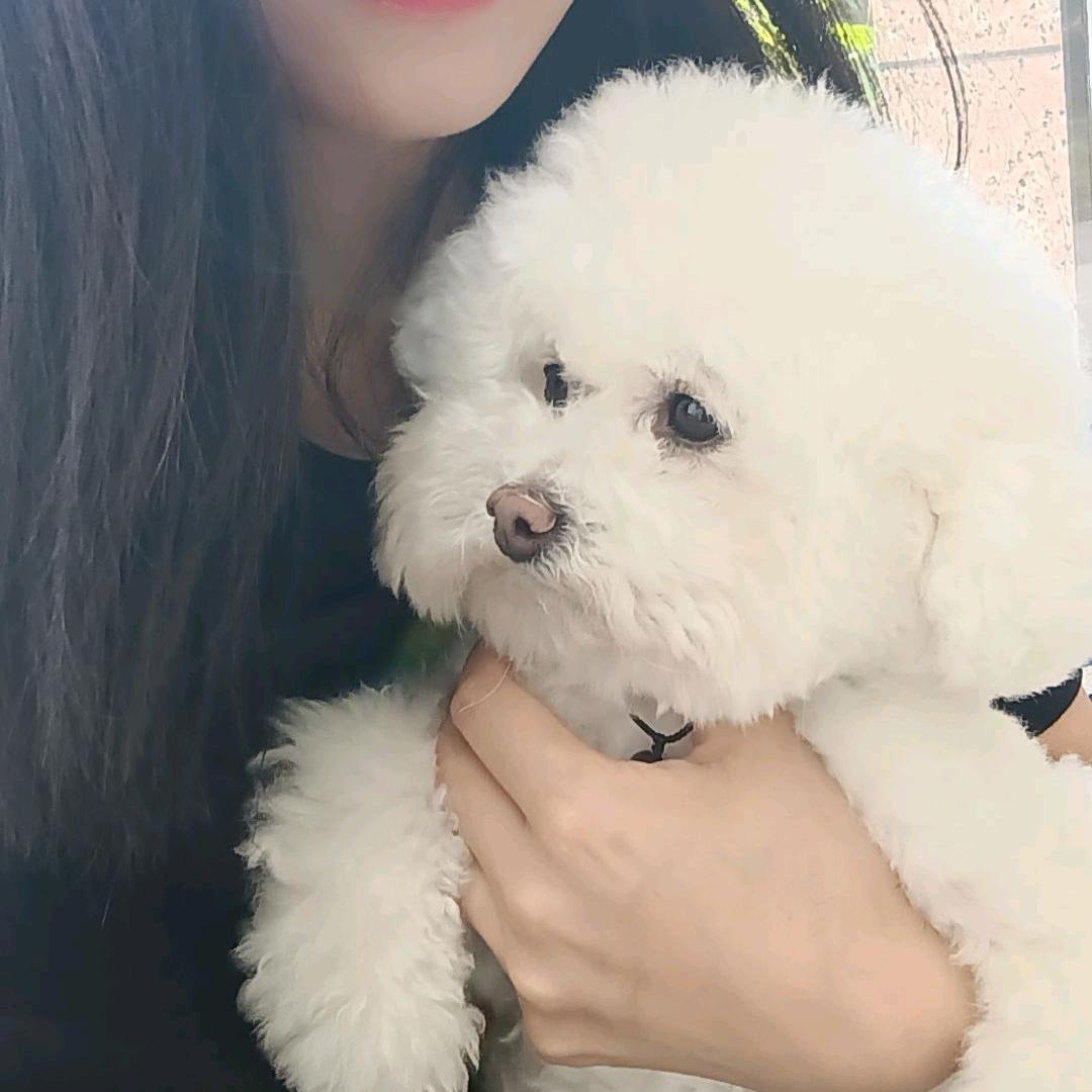 简一