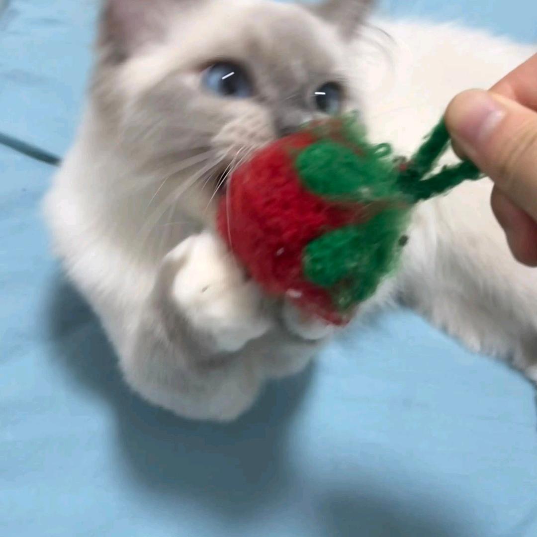 审水蜜桃