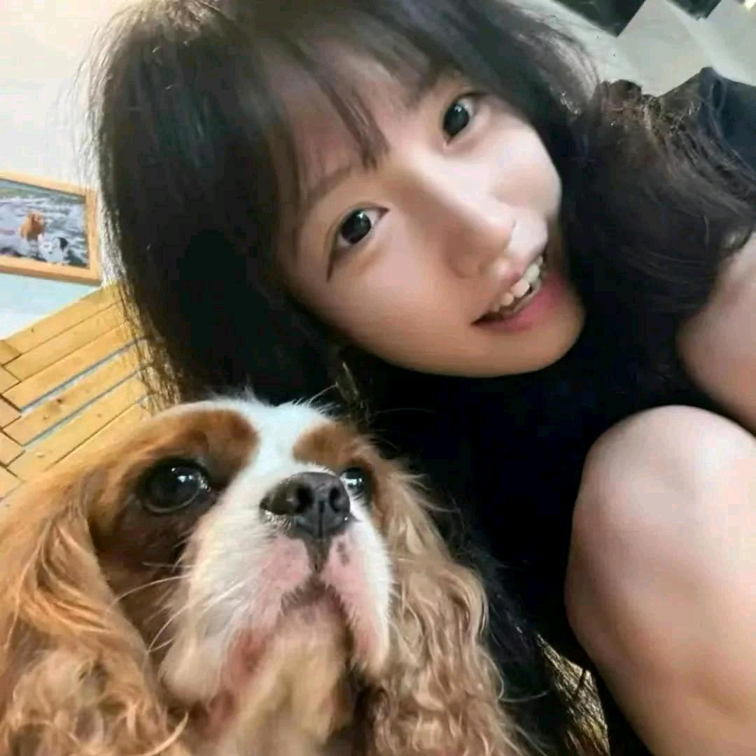 浪漫的火闷bǐng