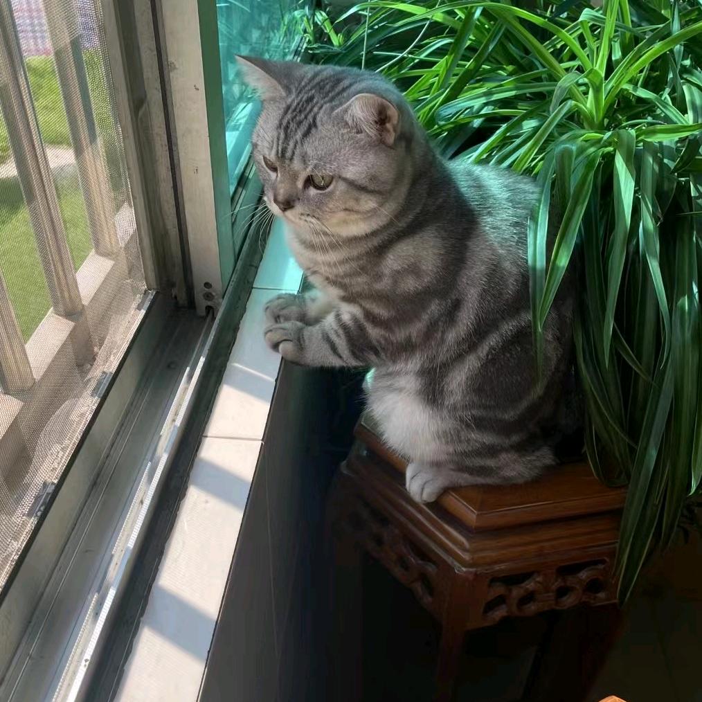 おうしょううん