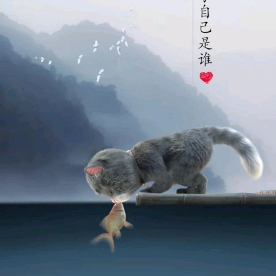 鹿邑县都来咪食品厂（个体工商户）