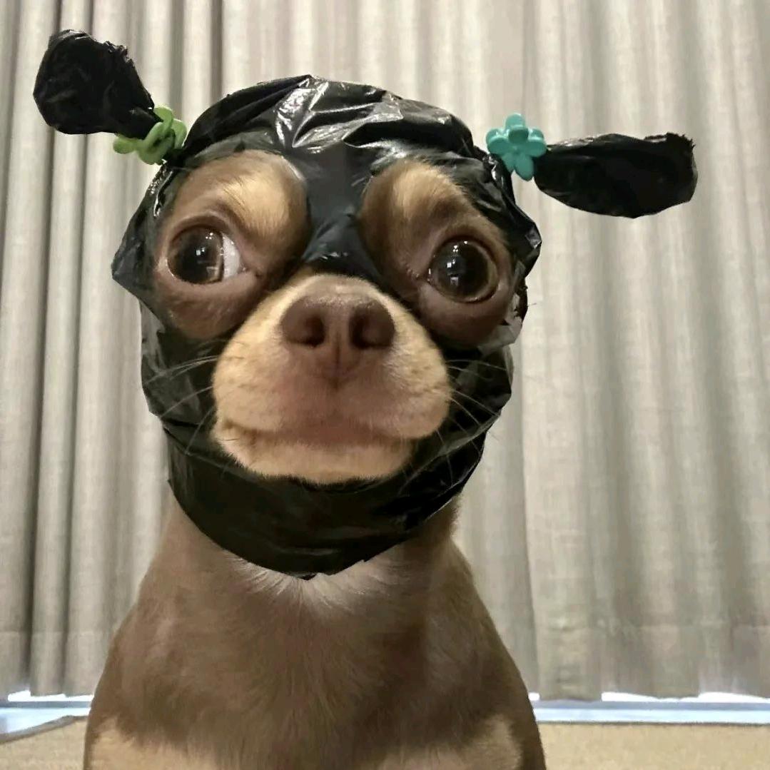 洗娃娃