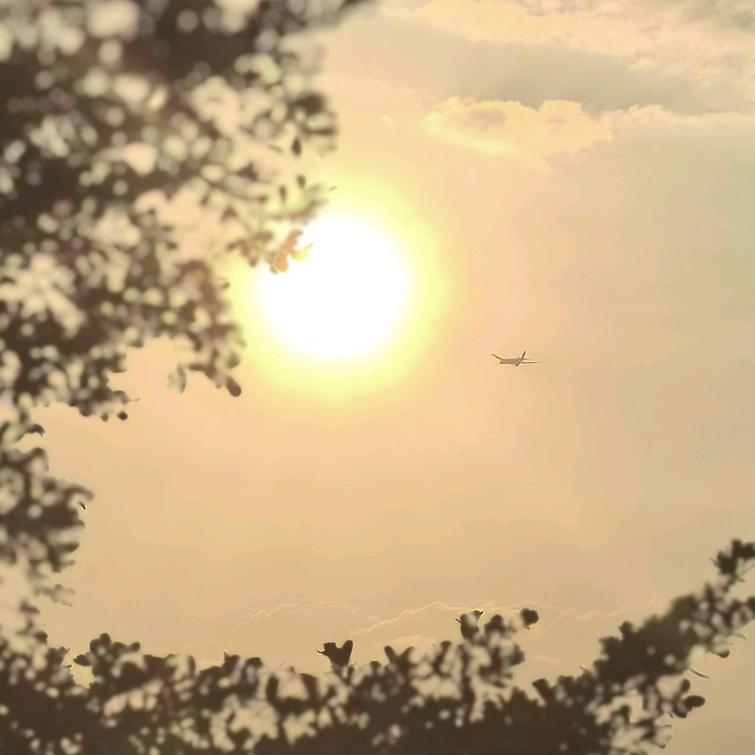 🌈    伴̶妳̶左̶右̶    🎋