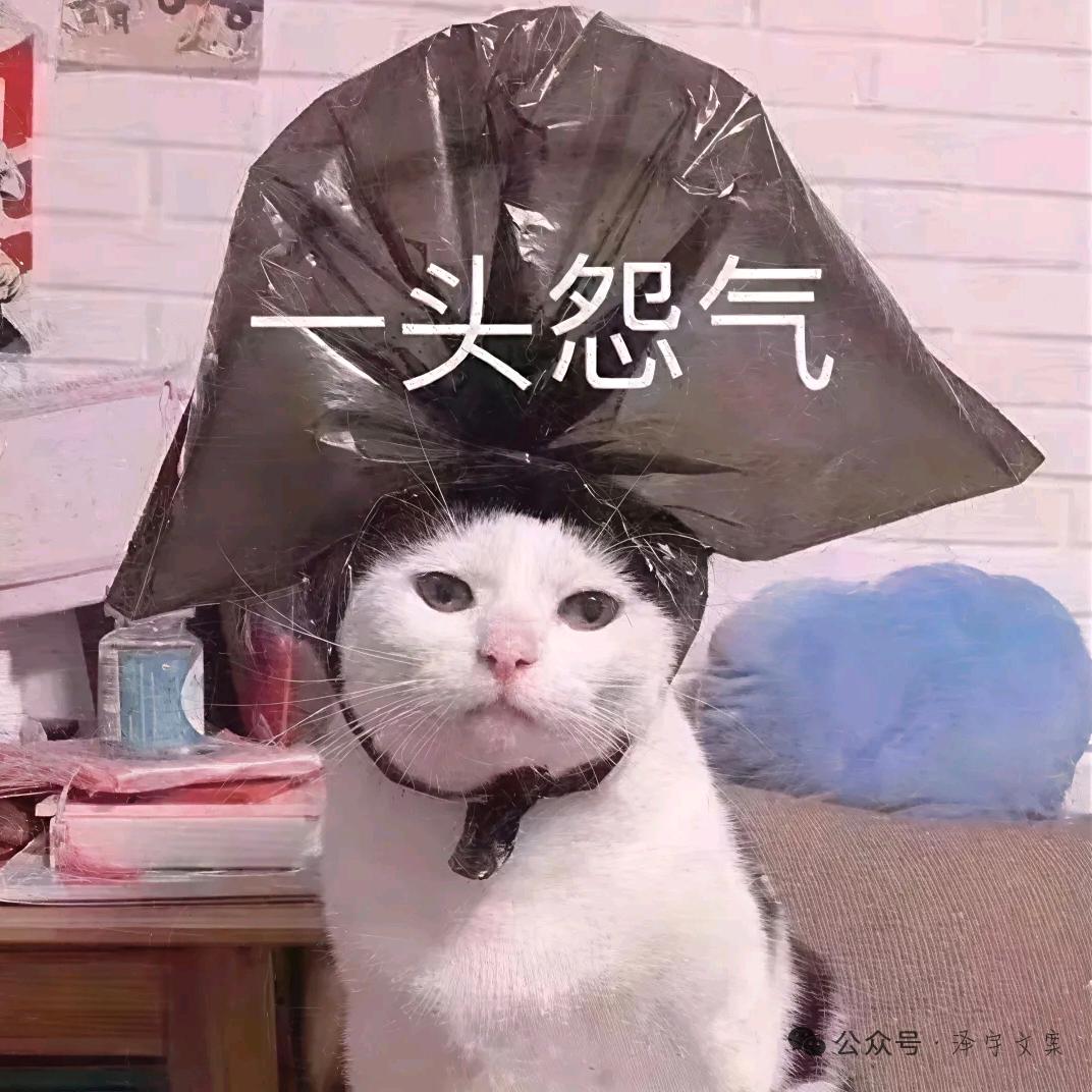Fan✨