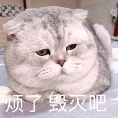 影楼