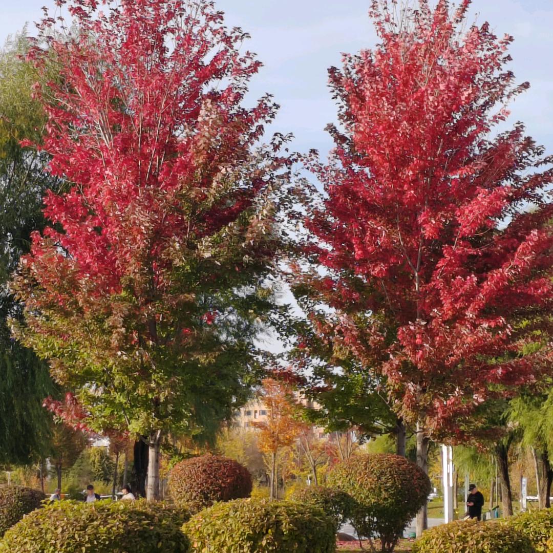 苦尽甘来，，，