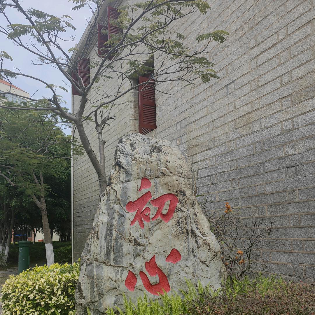 卖煤炭的小媳妇