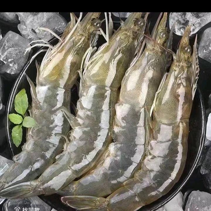 虾生鲜鲜鲜