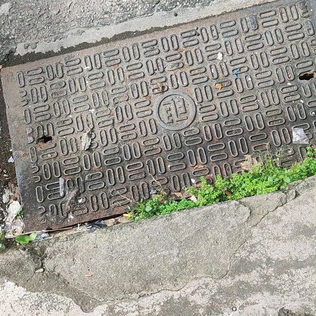 HaiYe海业