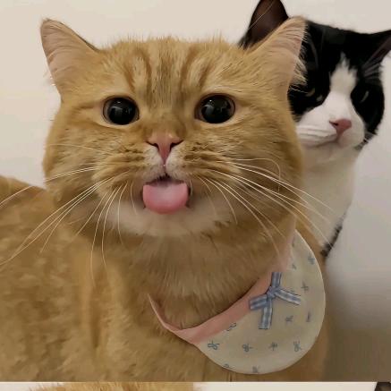 -1