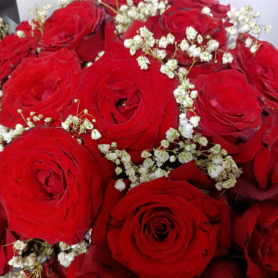 🌨🌈雨过彩虹🌈