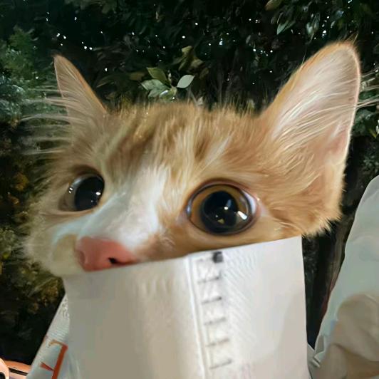 www