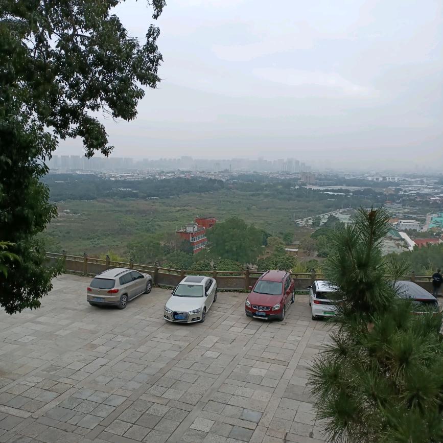 我有你不懂的执着