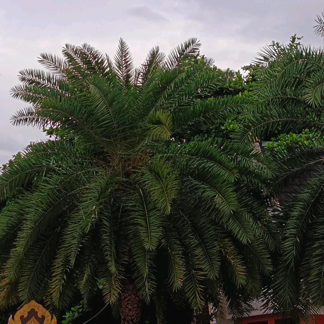 娄底市娄星区锦煊商贸中心（个体工商户）