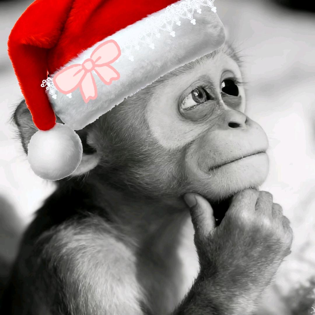 🩷🪅𐂐༺🥀毛/.酷/.❀ൢ༒❀ൢ