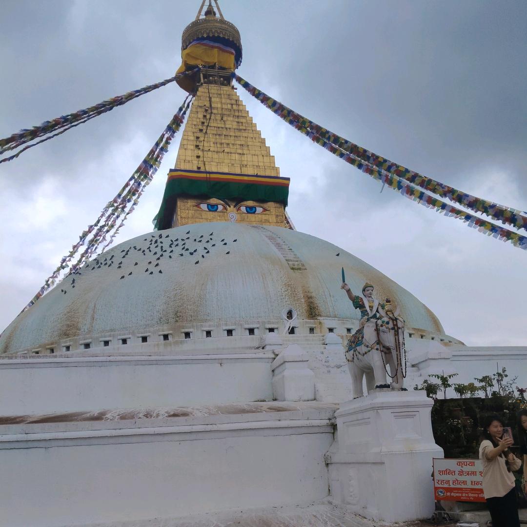 勇闯小印度🇮🇳（尼泊尔）