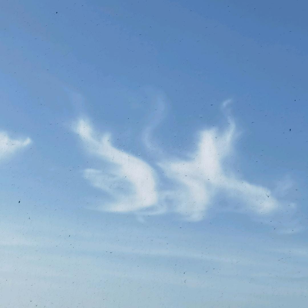 讲李的小老鼠🐭