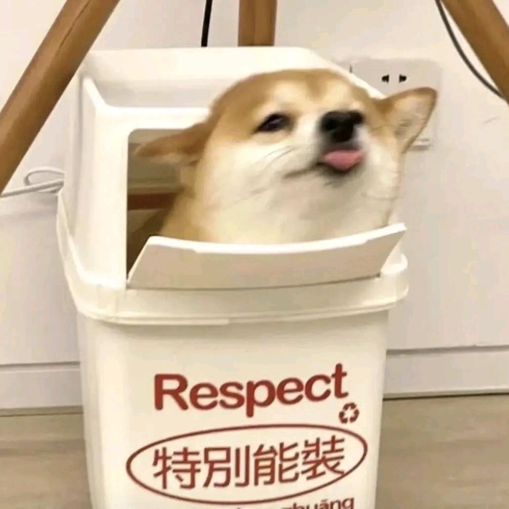 海星𐂂