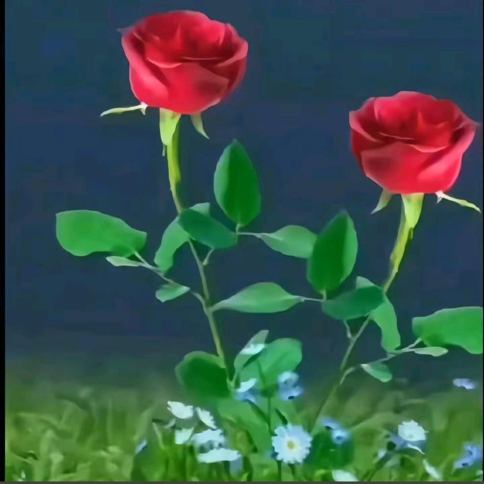 ཀཀ