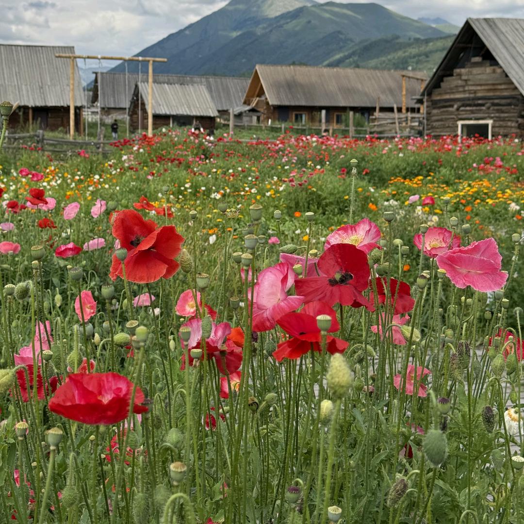 禾木梦境民宿张玉峰