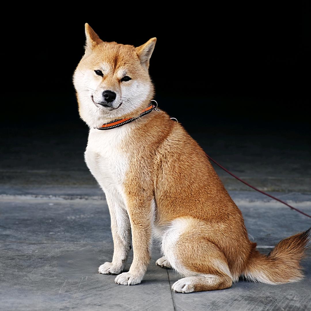 𝔯𝔢𝔭𝔲𝔱𝔞𝔱𝔦𝔬𝔫