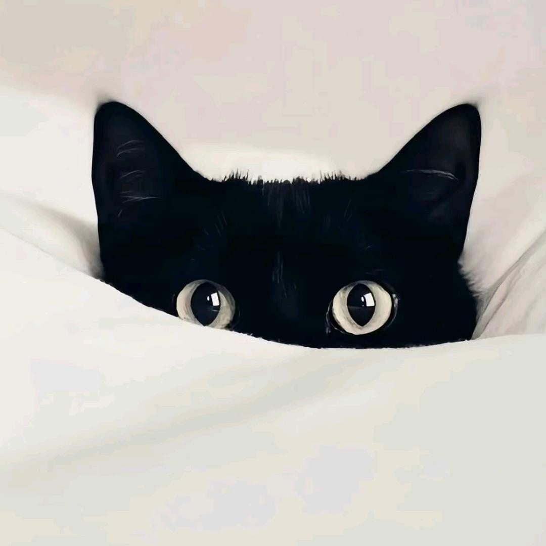 相见不如怀念。