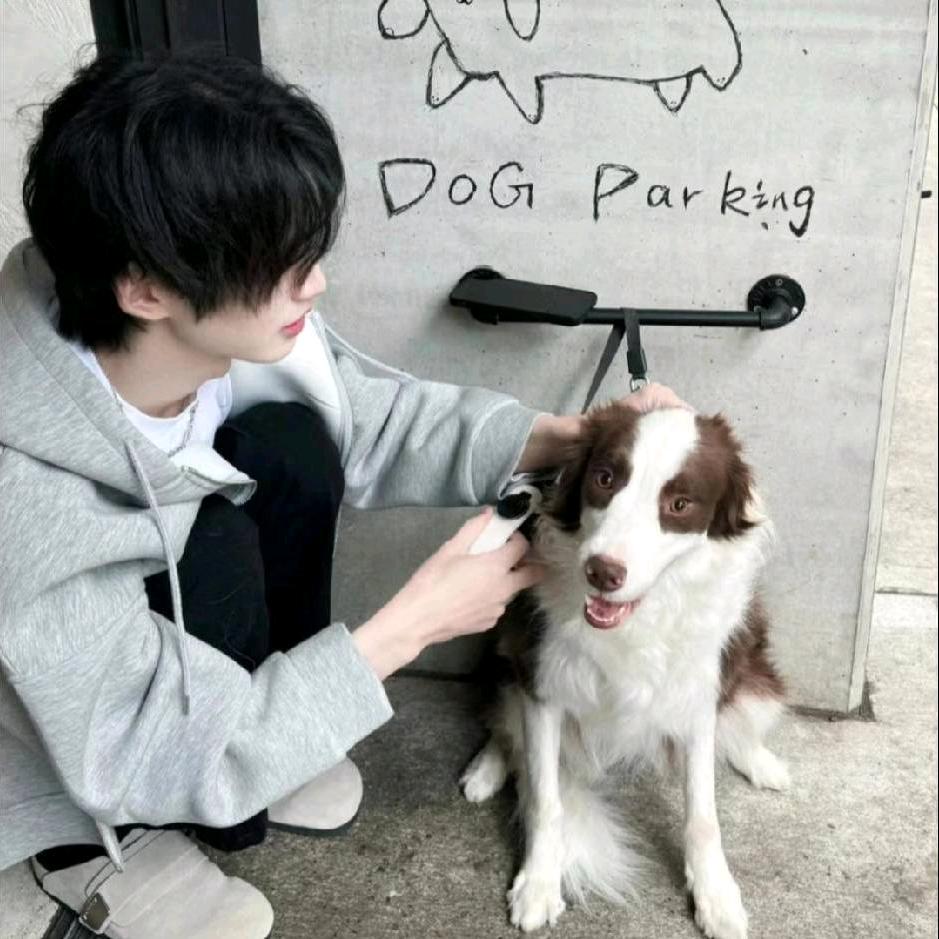落枫